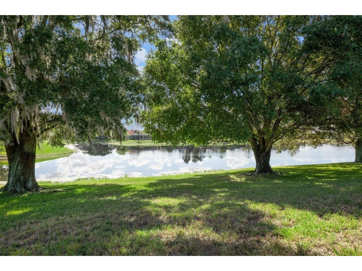 9276 Lake Cypress Loop Weeki Wachee FL 34613 W7878742 image57
