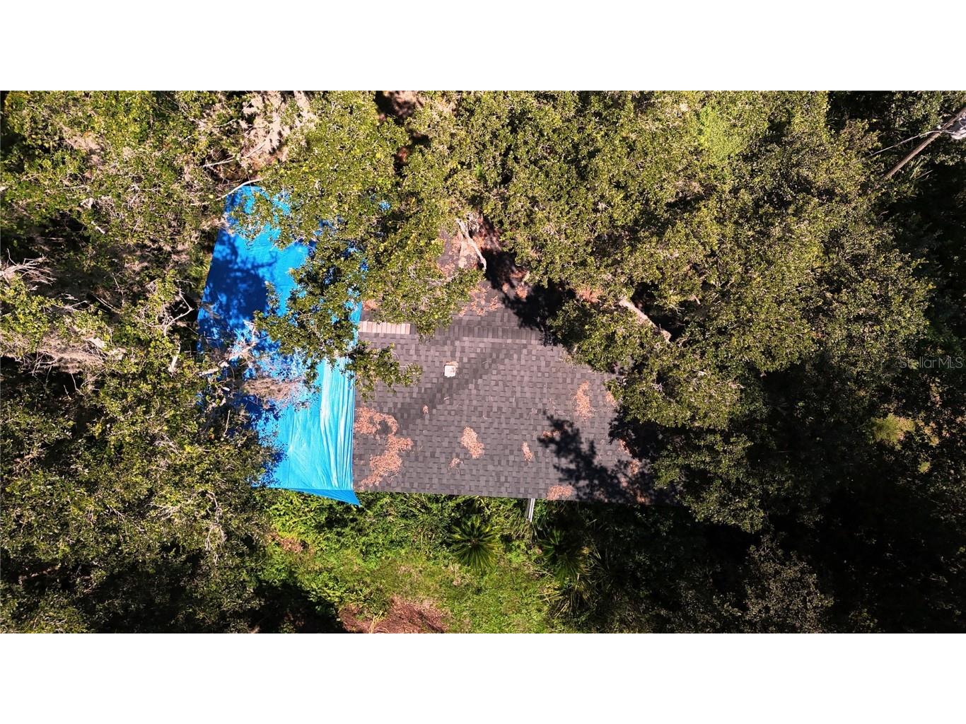 9278 Cr 734 #A Center Hill FL 33514 G5100828 image21