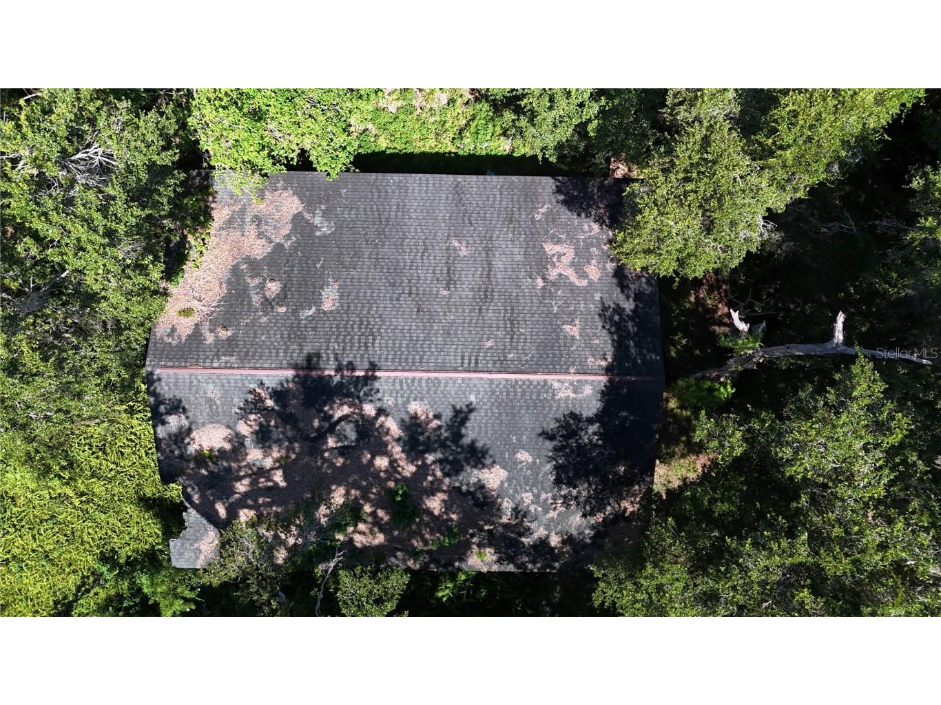 9278 Cr 734 #A Center Hill FL 33514 G5100828 image28