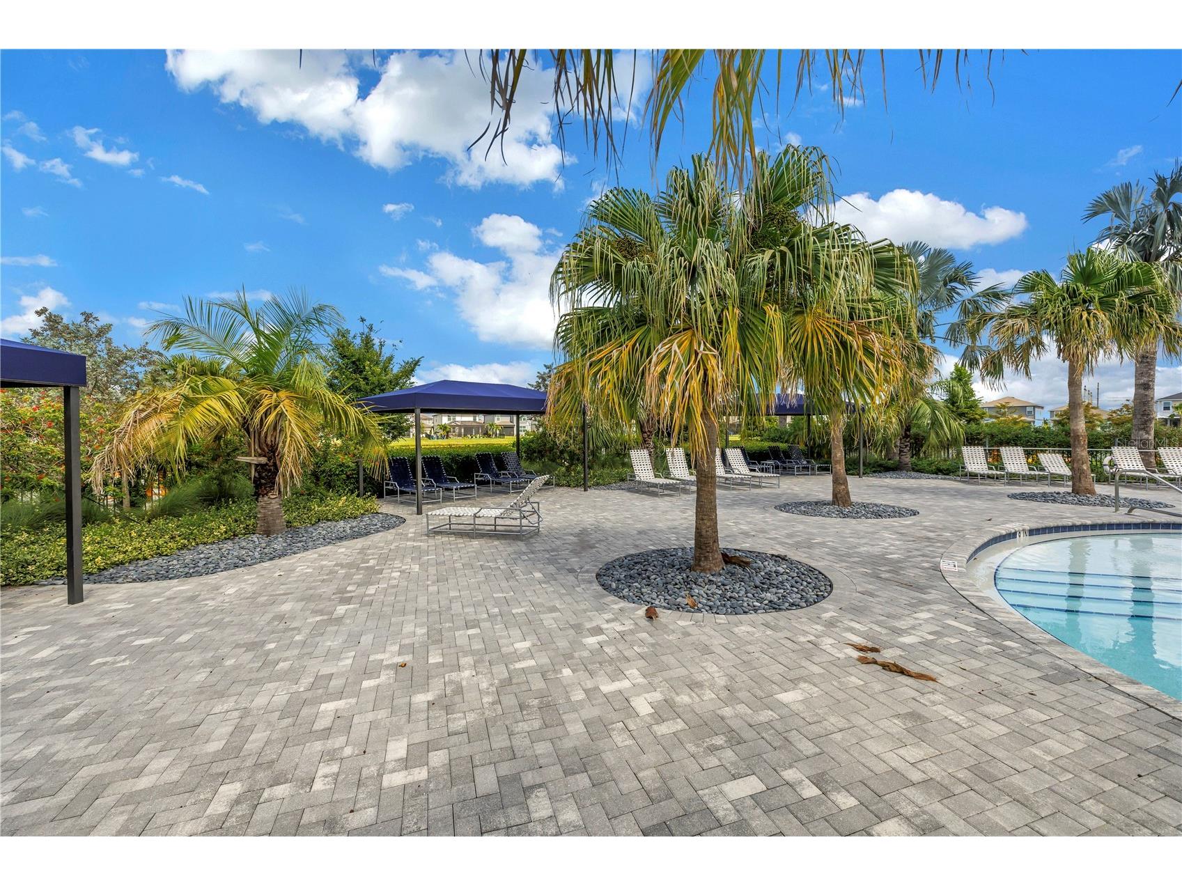 9279 Warm Springs Circle Parrish FL 34219 TB8527731 image57