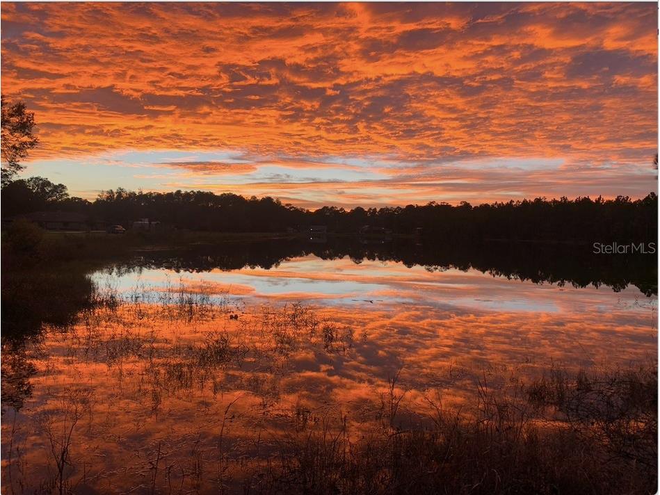 928 Gallberry Court Bunnell FL 32110 FC314293 image55