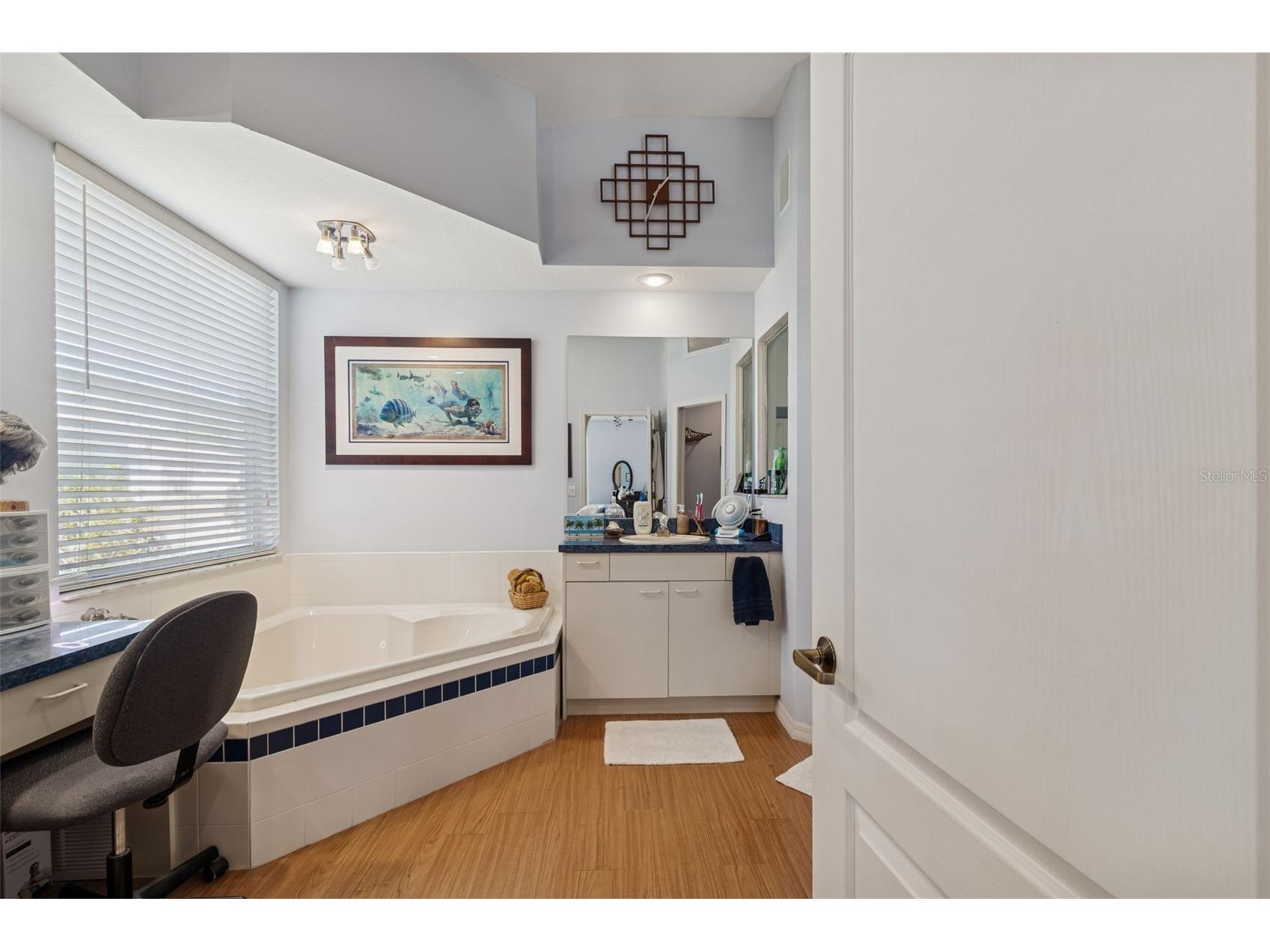 928 Oakview Road Tarpon Springs FL 34689 TB8461310 image32