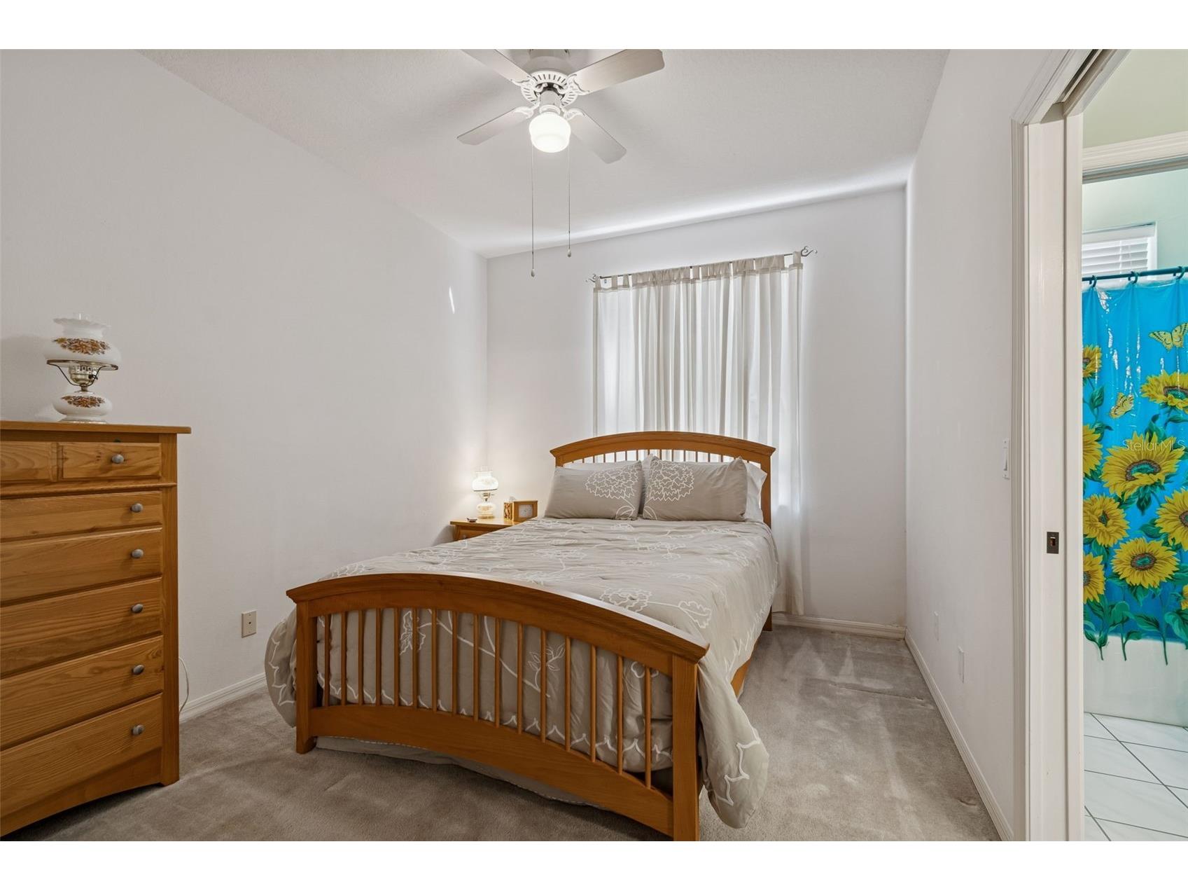 928 Oakview Road Tarpon Springs FL 34689 TB8461310 image33