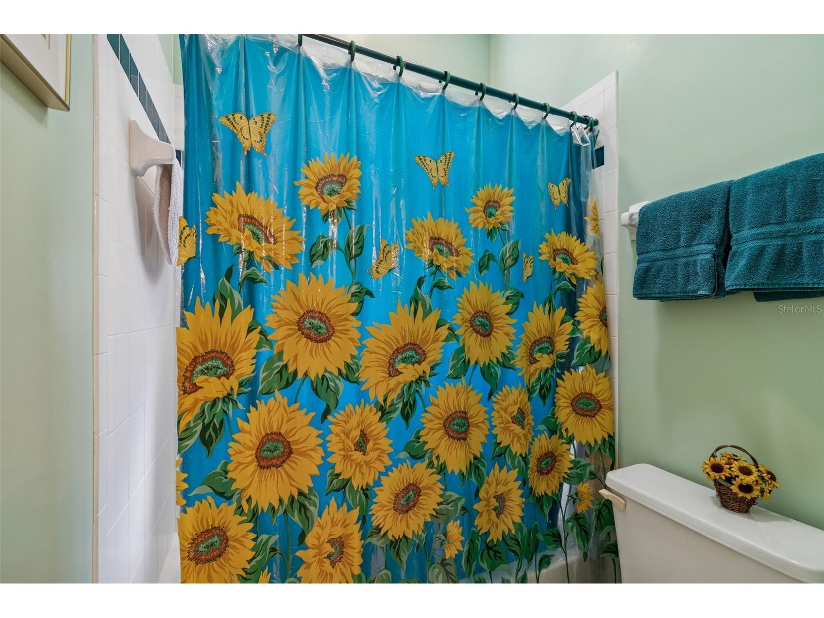 928 Oakview Road Tarpon Springs FL 34689 TB8461310 image38