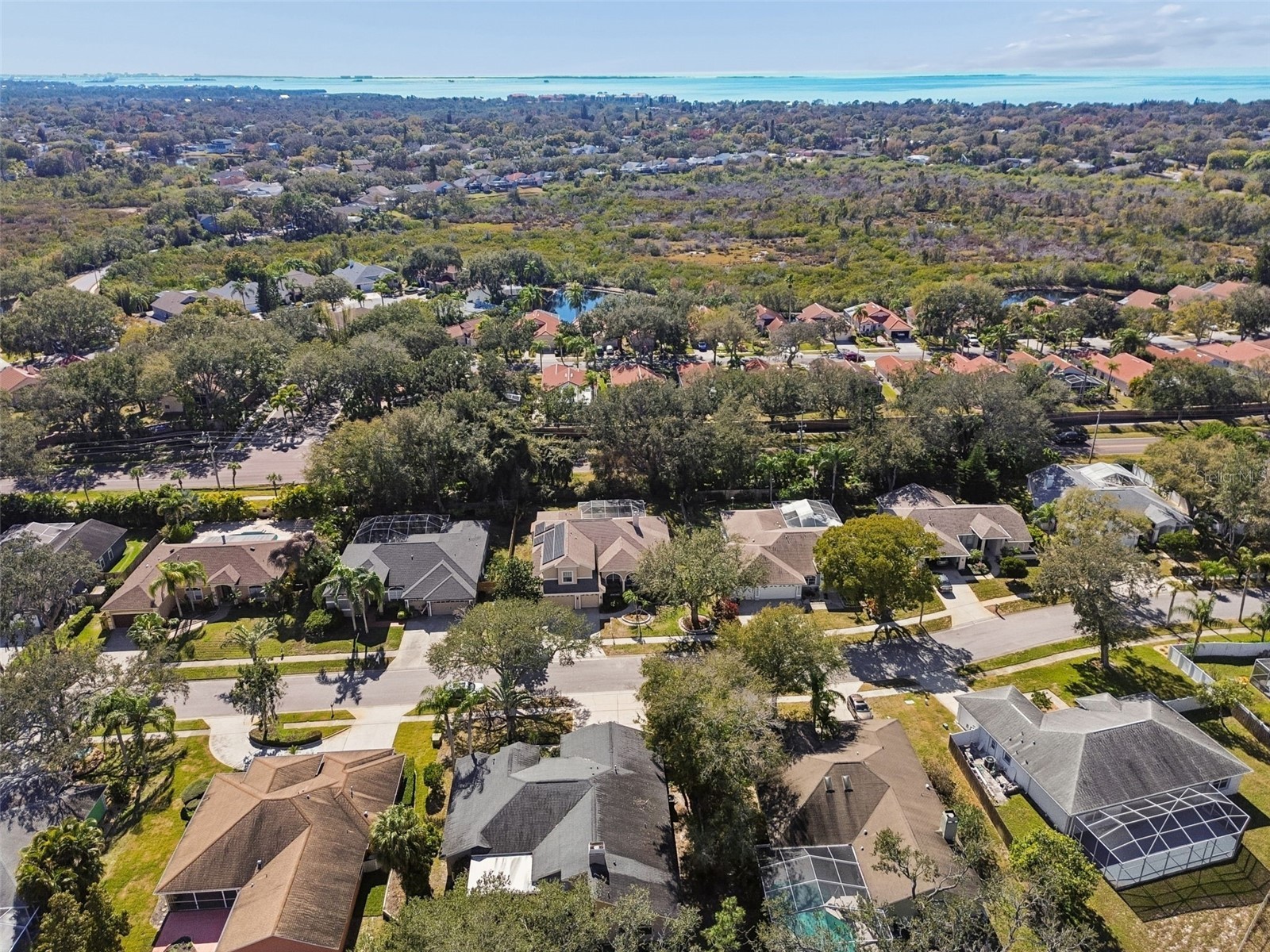 928 Oakview Road Tarpon Springs FL 34689 TB8461310 image62