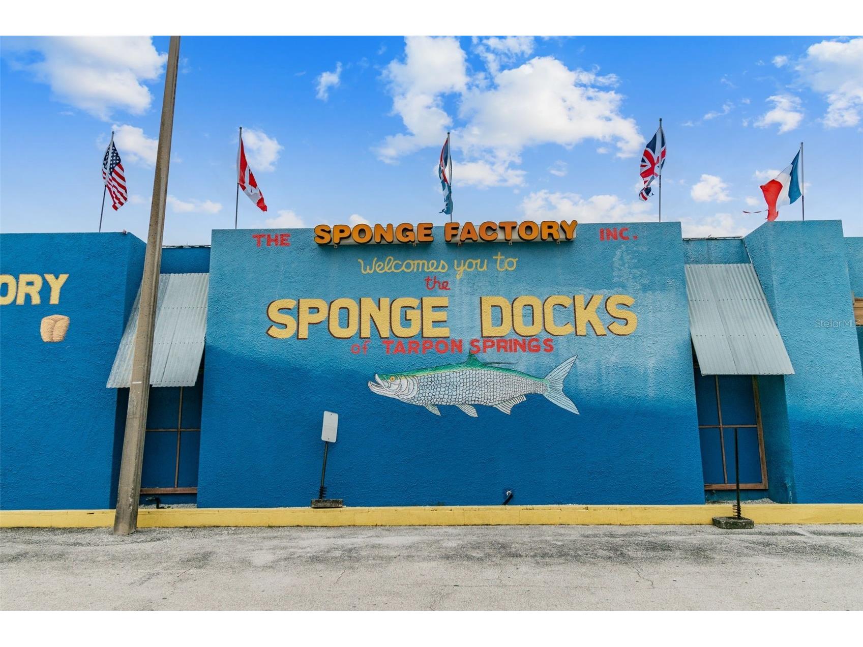 928 Oakview Road Tarpon Springs FL 34689 TB8461310 image67