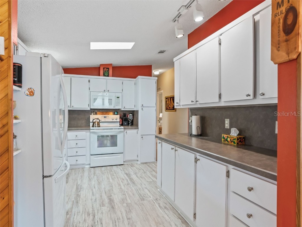 928 Oleander Street The Villages FL 32159 G5105063 image13