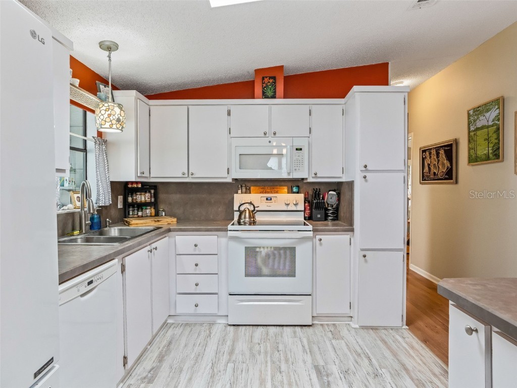 928 Oleander Street The Villages FL 32159 G5105063 image14