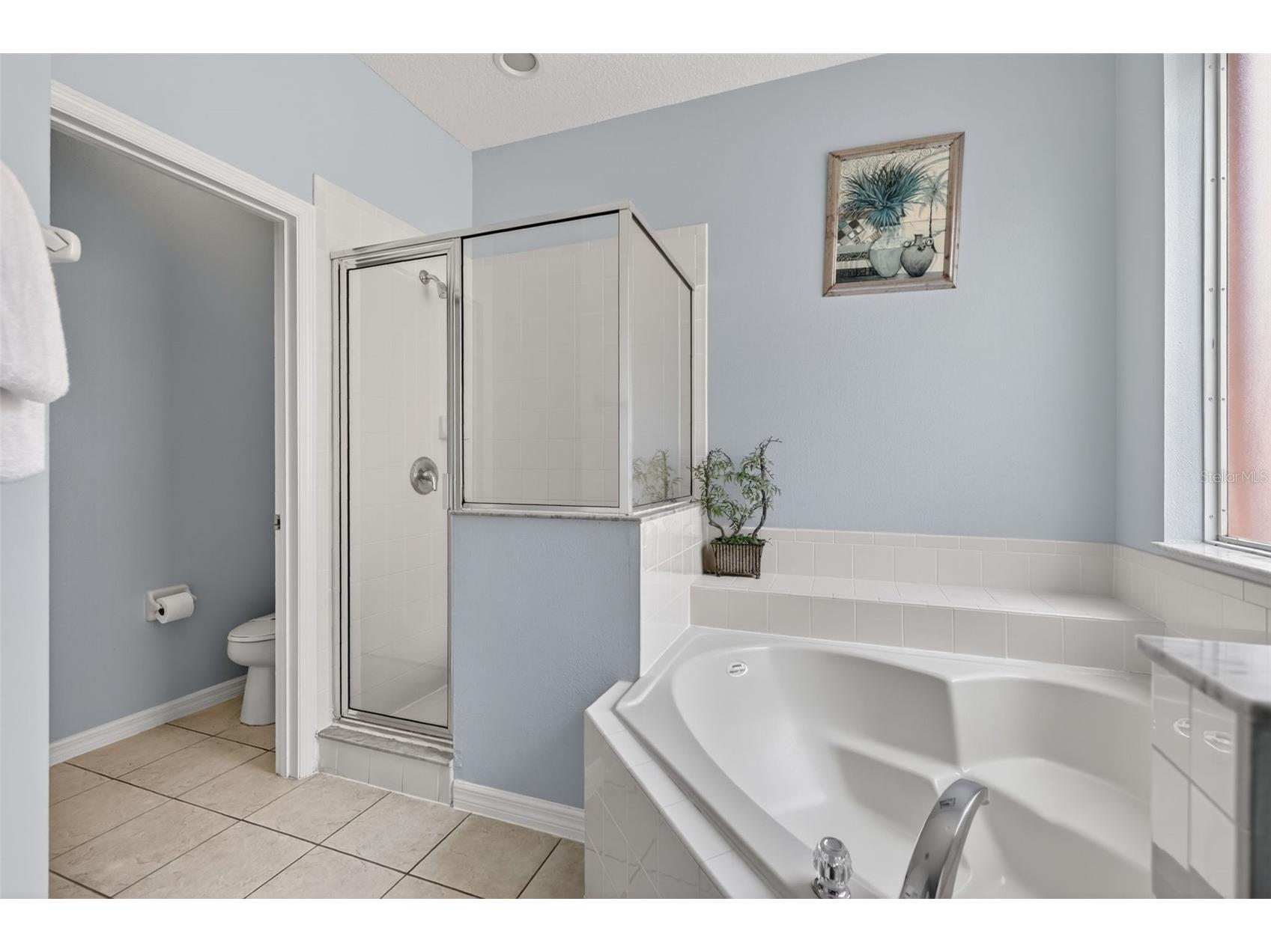 928 Solana Circle Davenport FL 33897 S5150470 image30