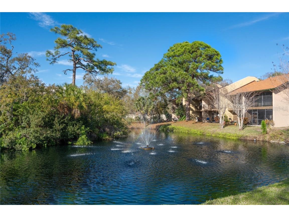 928 Sunridge Drive #F2 Sarasota FL 34234 A4650806 image42