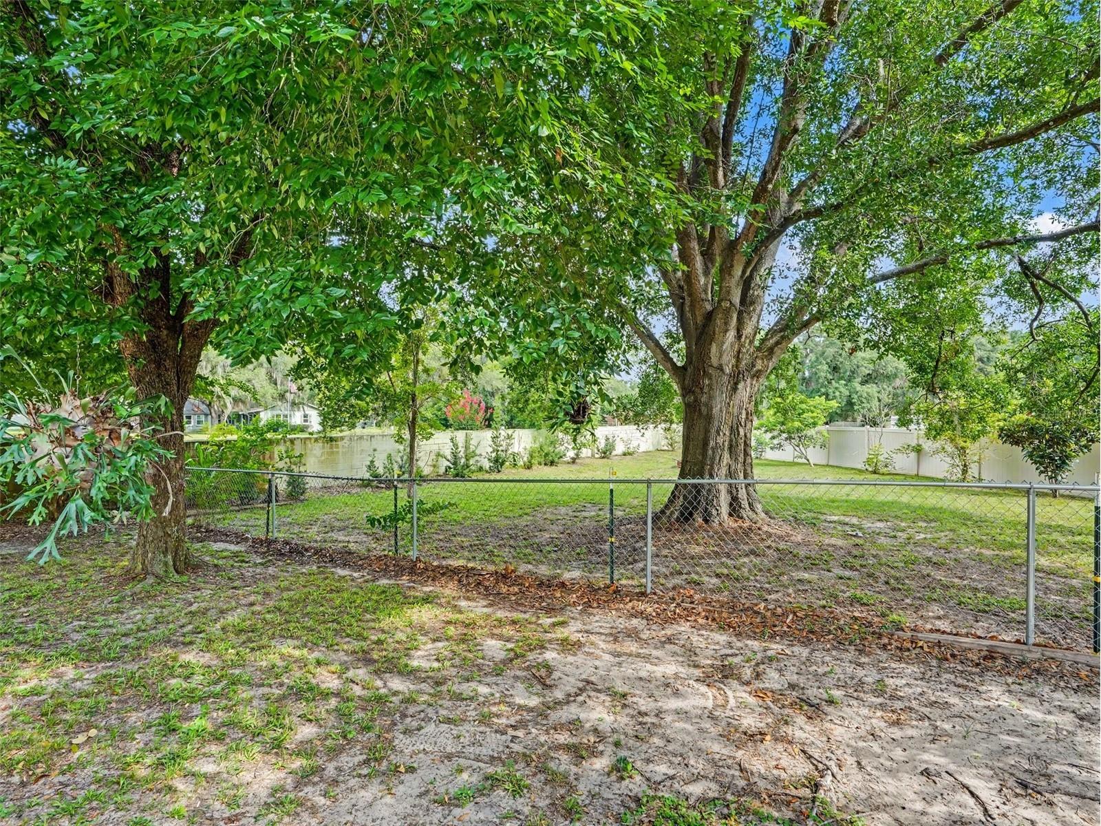 928 Timbergreen Drive Lakeland FL 33809 TB8521511 image29