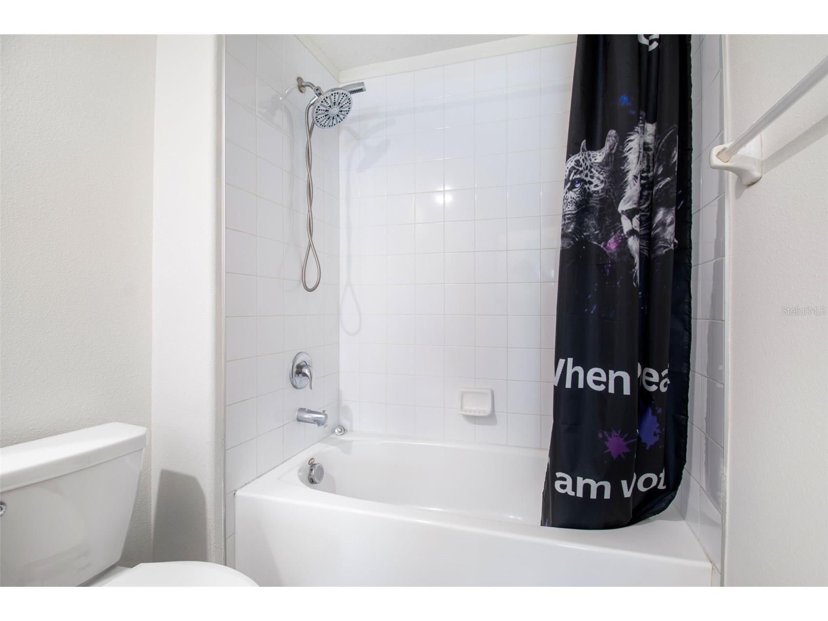 928 Zone Tailed Hawk Place Ruskin FL 33570 TB8529634 image28