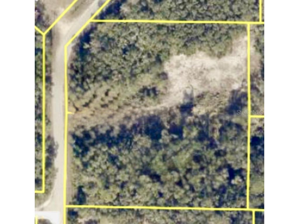 9280 Rousseau Street Webster FL 33597 TB8429015 image1