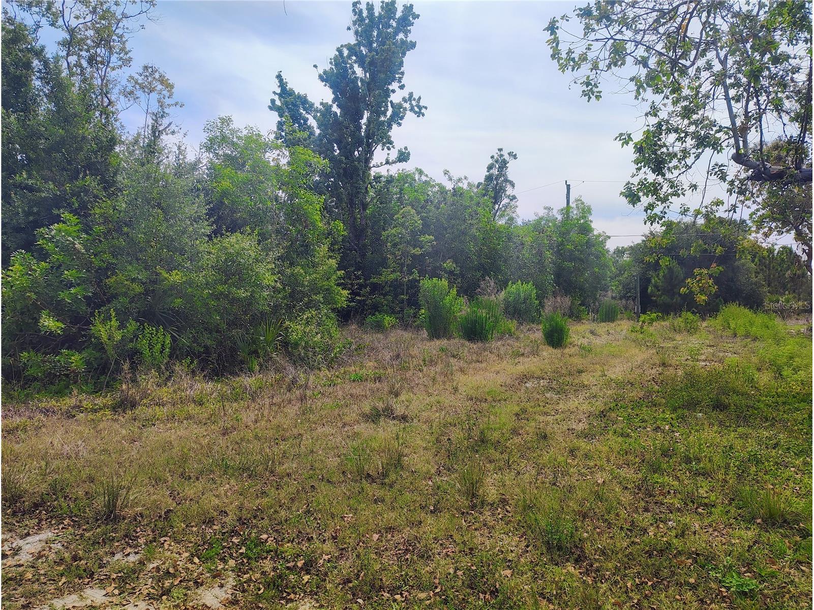 9283 Mandy Street Punta Gorda FL 33982 N6144271 image1