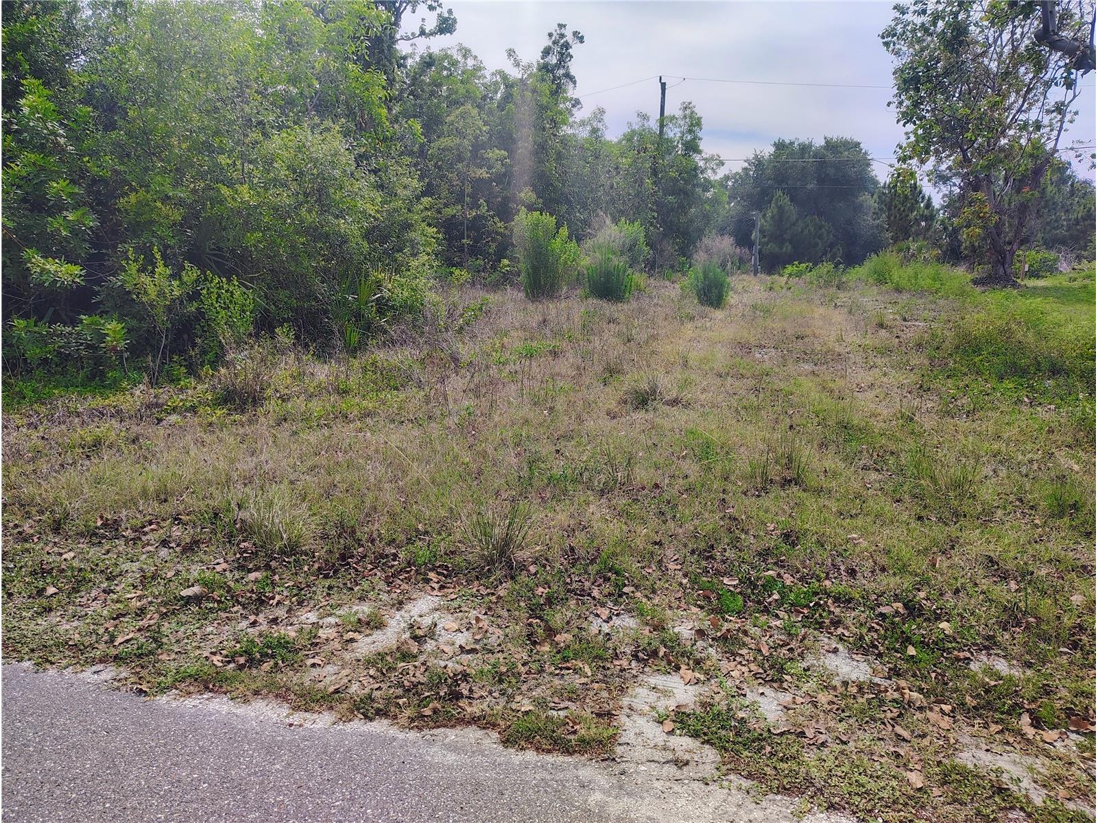 9283 Mandy Street Punta Gorda FL 33982 N6144271 image3
