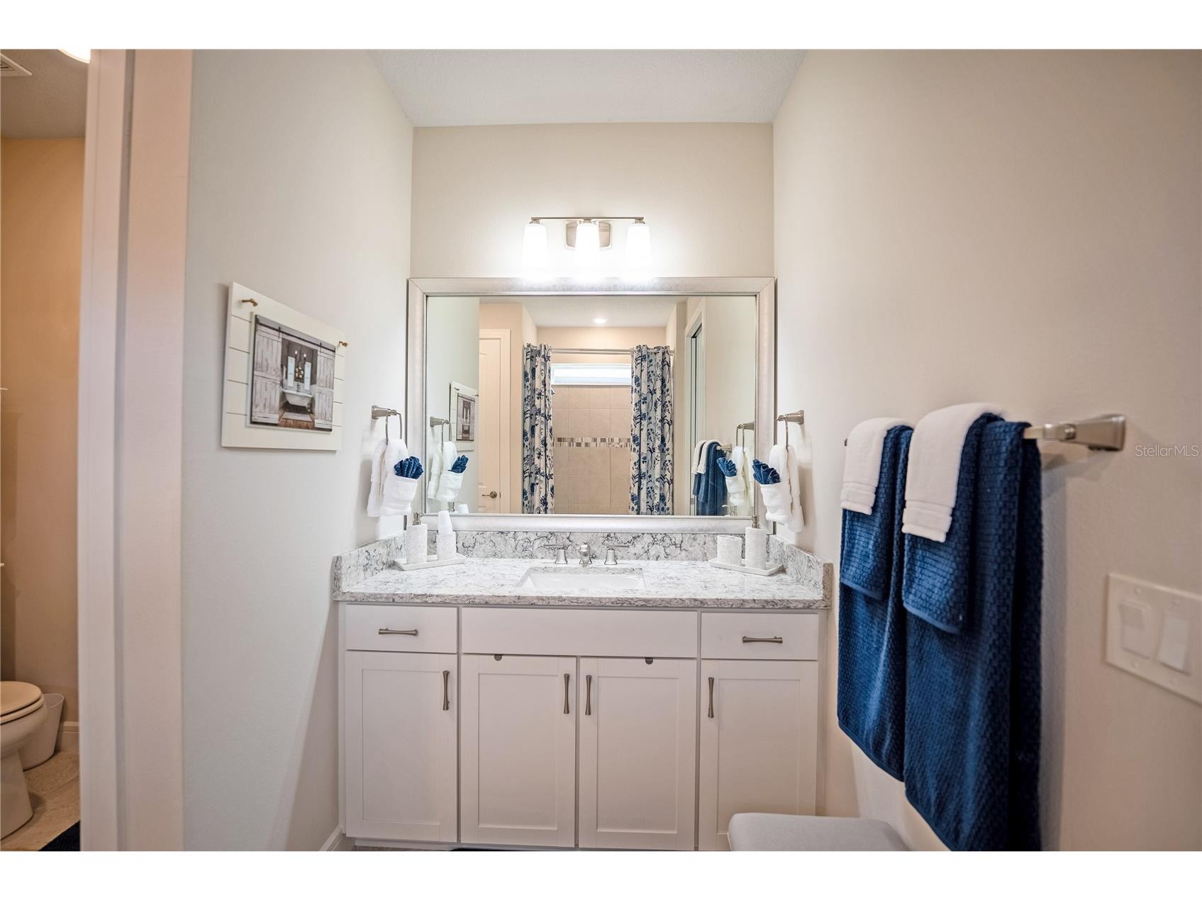 9284 SW 56th Loop Ocala FL 34481 OM717702 image48