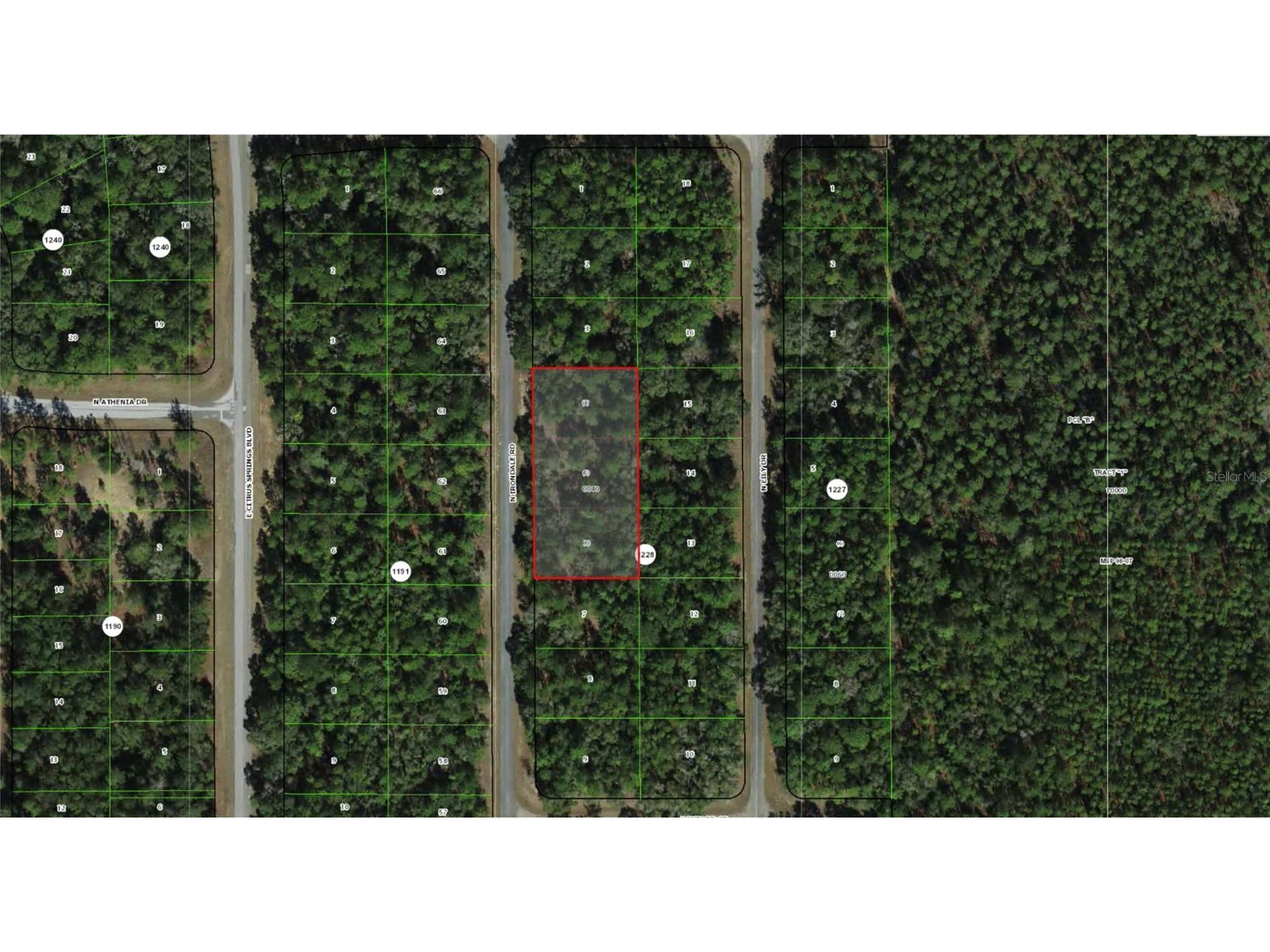 9285 N Irondale Road Dunnellon FL 34434 OM723936 image1
