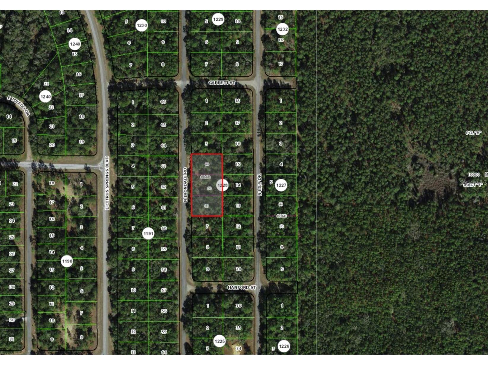 9285 N Irondale Road Dunnellon FL 34434 OM723936 image2