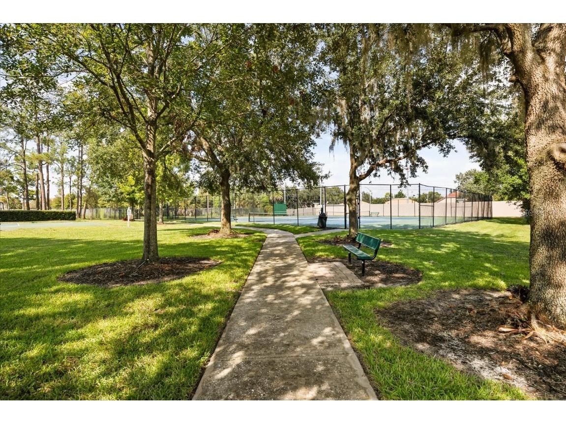 9285 Wickham Way Orlando FL 32836 O6339063 image43