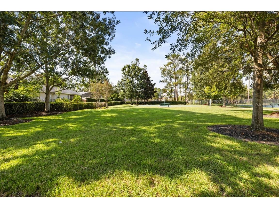 9285 Wickham Way Orlando FL 32836 O6339063 image44