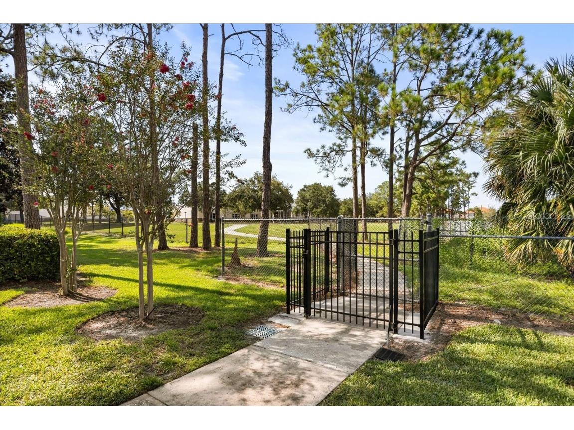 9285 Wickham Way Orlando FL 32836 O6339063 image46