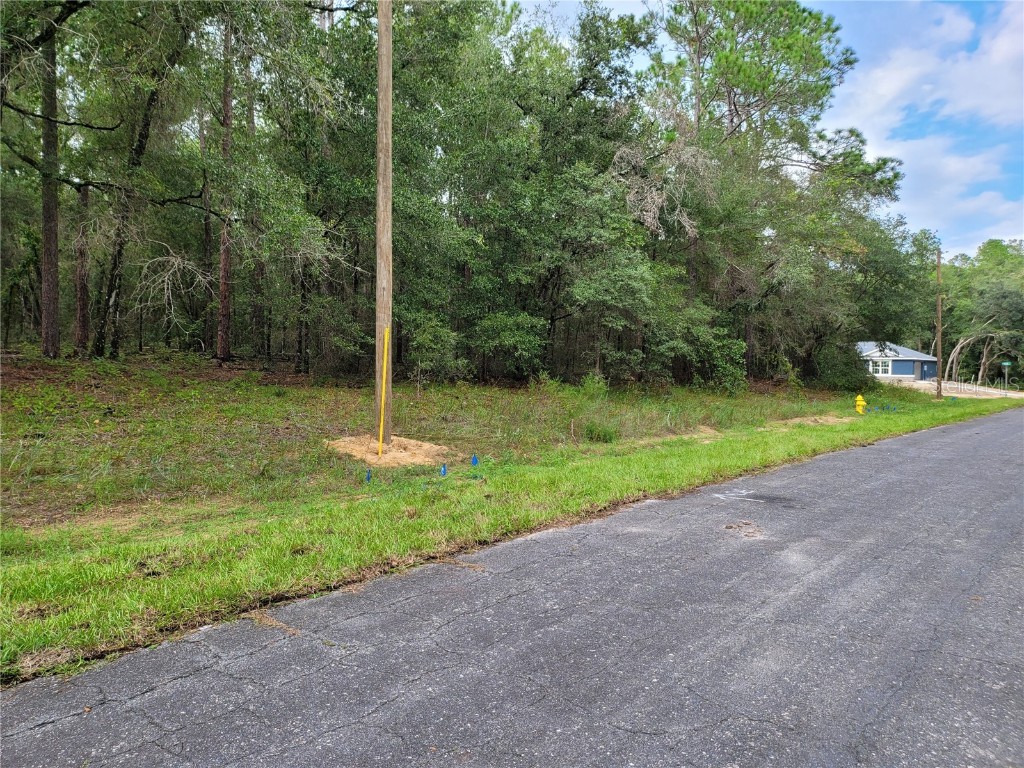 9287 N Sherman Drive N Citrus Springs FL 34434 OM645254 image1