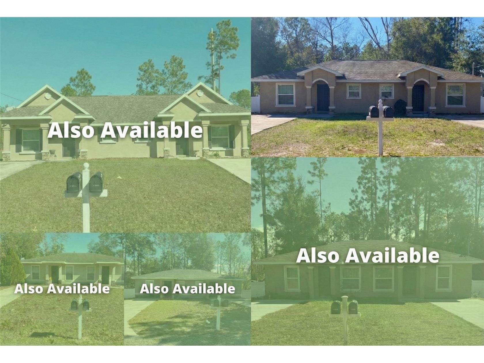9288 N Mendoza Way Citrus Springs FL 34434 O6376761 image2