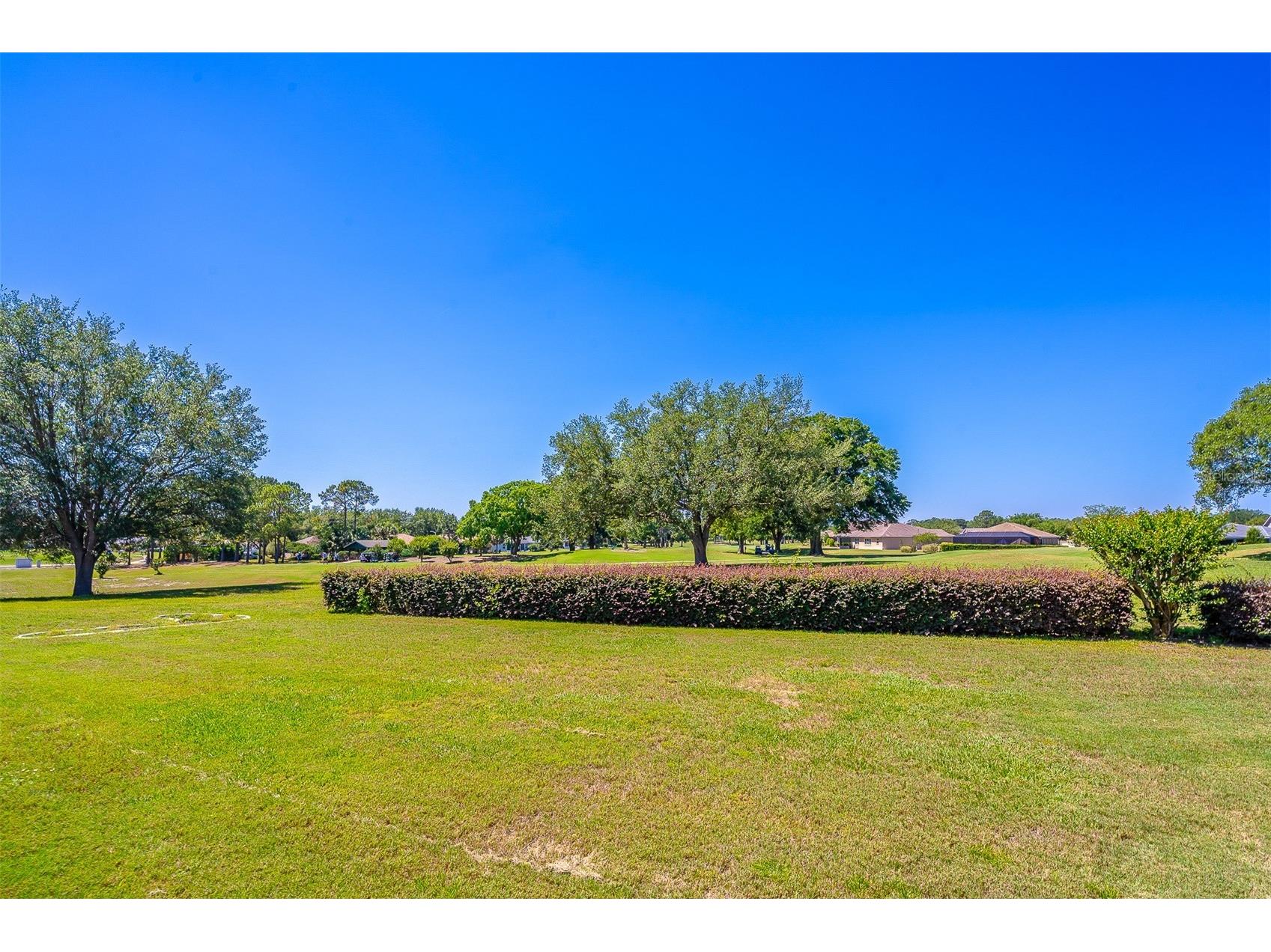 9288 SW 93rd Circle Ocala FL 34481 OM724460 image10