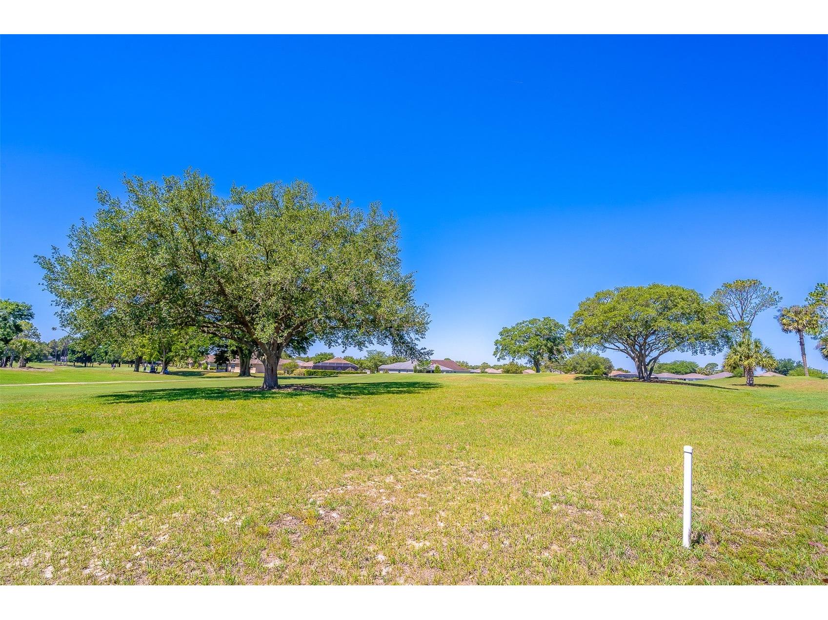 9288 SW 93rd Circle Ocala FL 34481 OM724460 image2