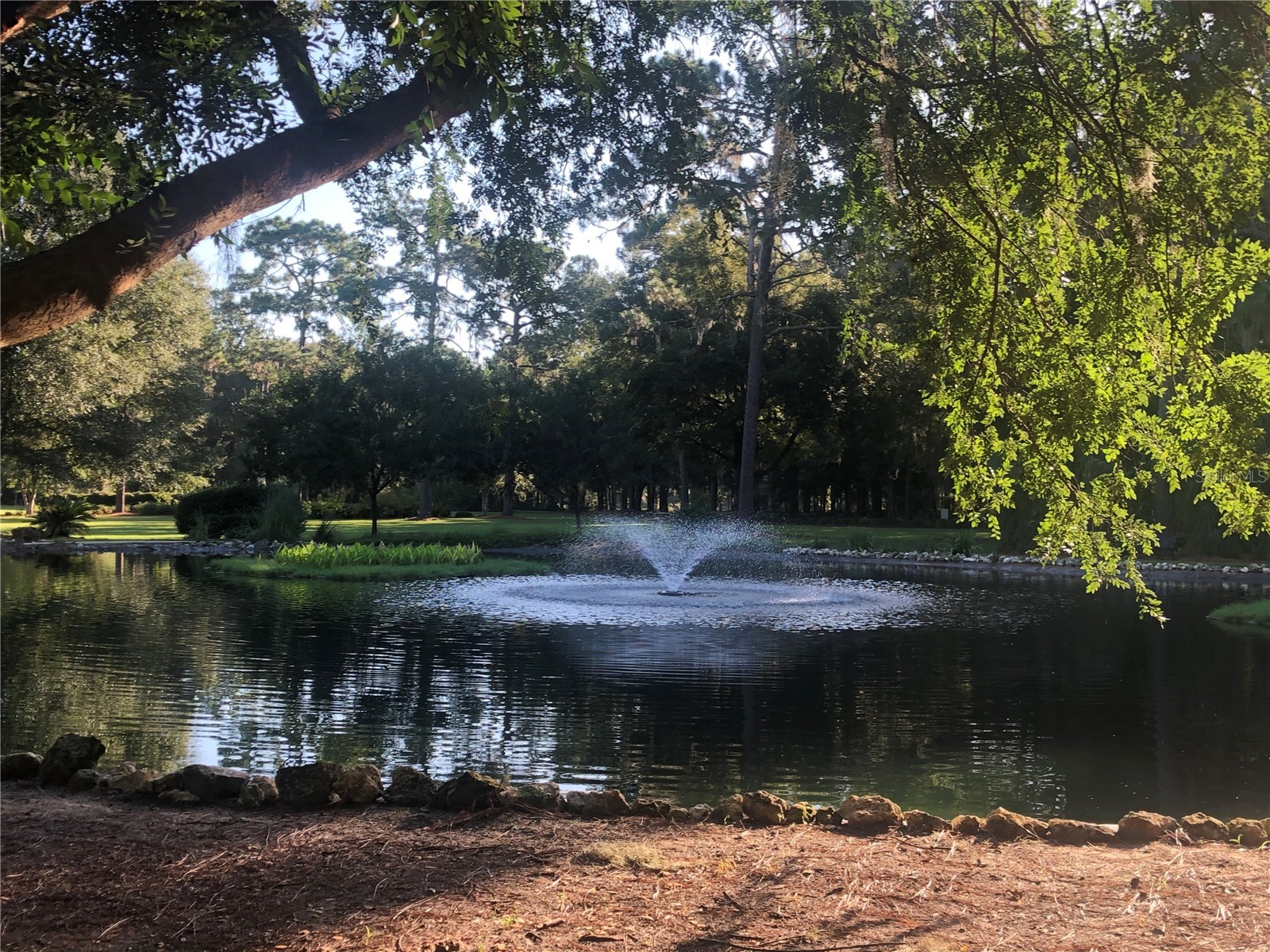 9288 SW 93rd Circle Ocala FL 34481 OM724460 image60