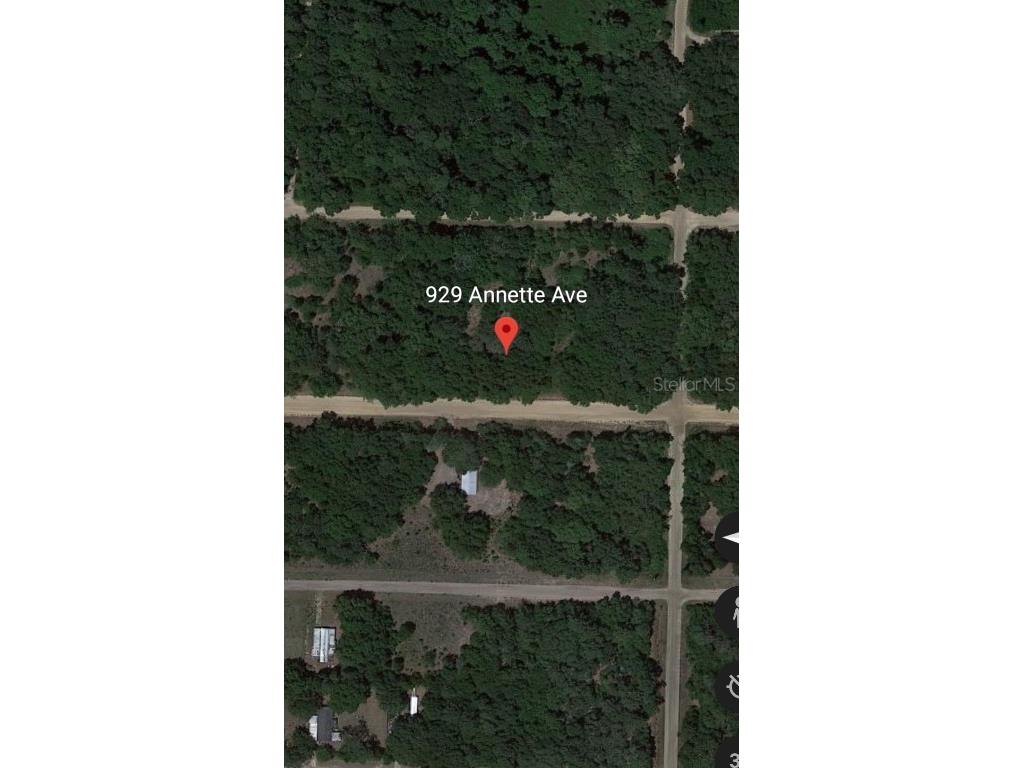 929 Annette Avenue Interlachen FL 32148 OM670408 image1