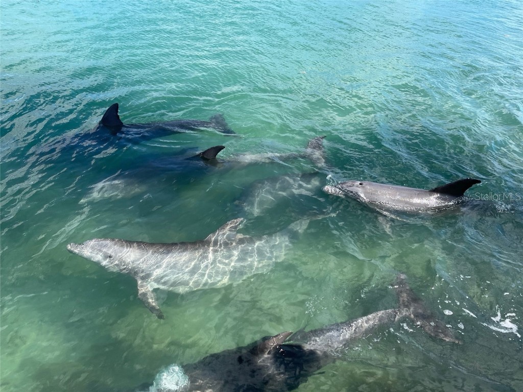 929 Casey Cove Drive Nokomis FL 34275 A4670193 image57