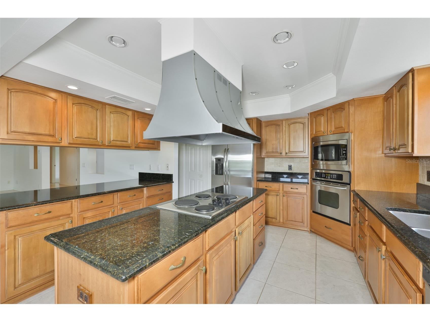 929 Symphony Isles Boulevard Apollo Beach FL 33572 TB8520052 image18