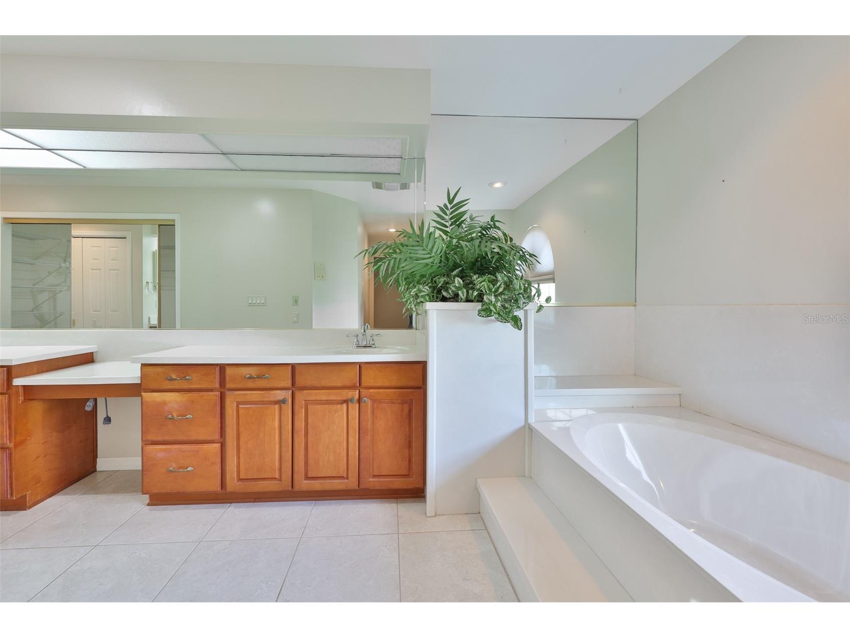 929 Symphony Isles Boulevard Apollo Beach FL 33572 TB8520052 image32