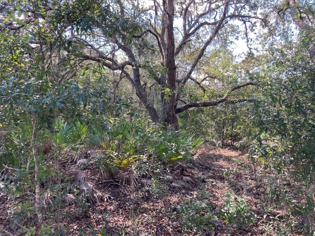 9290 NE 137th Court Williston FL 32696 GC500081 image1