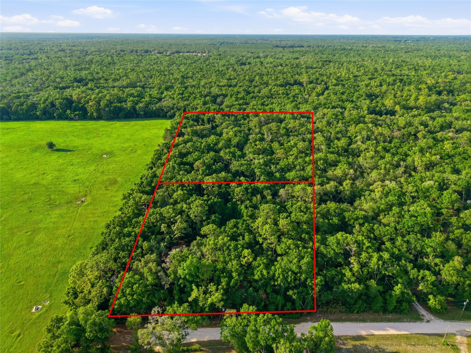 9291 NW 127th Place Chiefland FL 32626 OM725308 image4