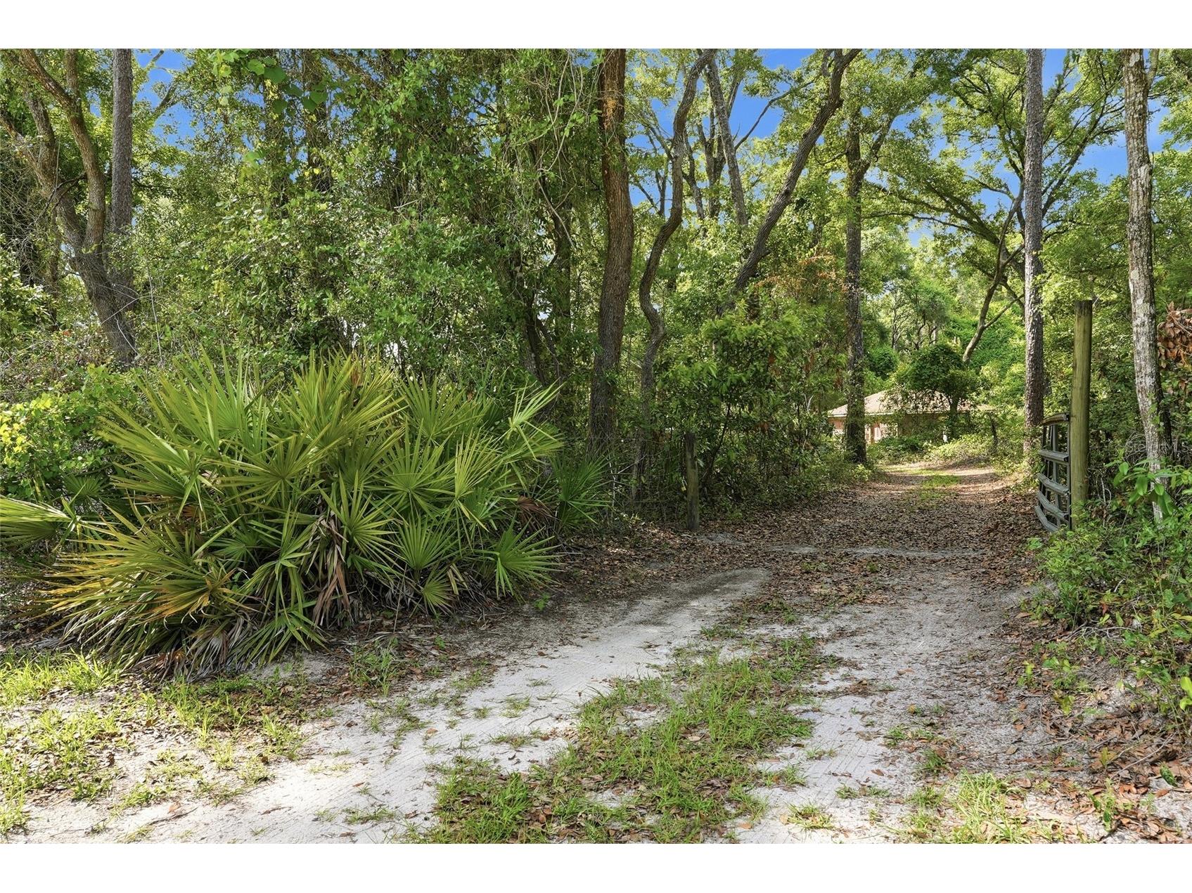 9291 NW 127th Place Chiefland FL 32626 OM725308 image5