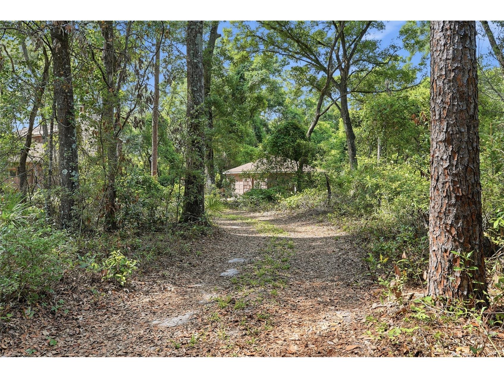 9291 NW 127th Place Chiefland FL 32626 OM725308 image6