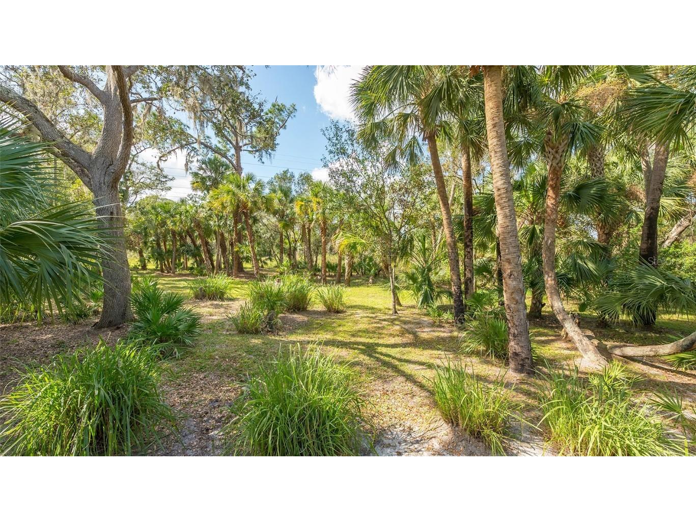 9291 Swaying Branch Road Sarasota FL 34241 - GAZEBO PARK LAKE WOOD A4627399 image69