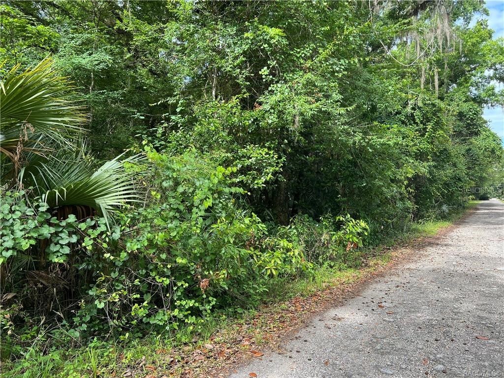 9292 E Roan Lane #18 Inverness FL 34450 OM672916 image1