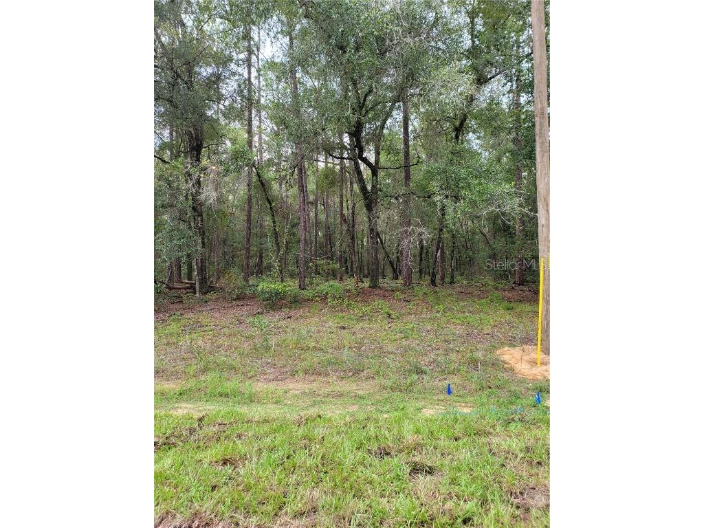 9295 N Sherman Drive Citrus Springs FL 34434 OM645255 image1