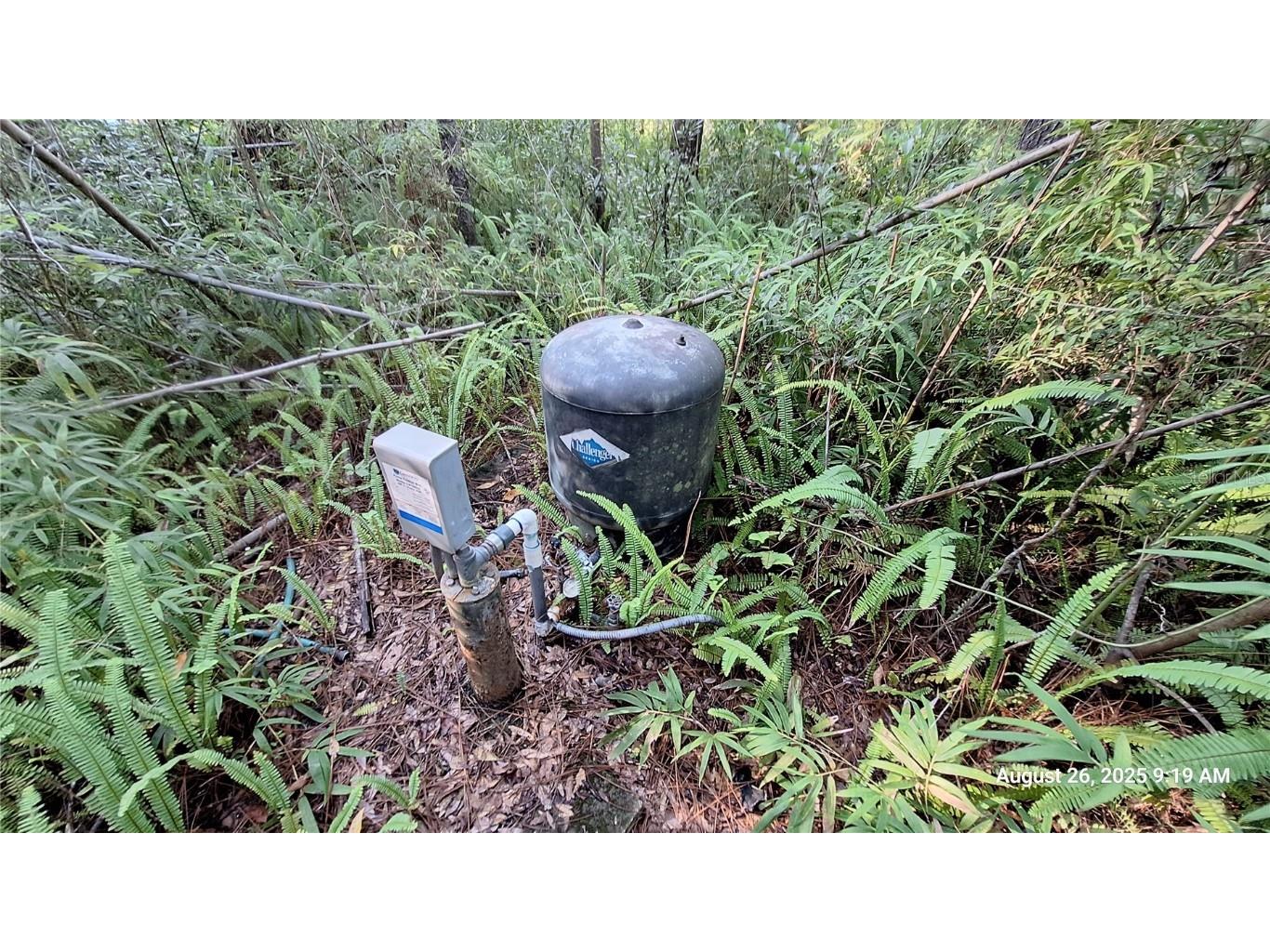 9295 SW 203rd Avenue Dunnellon FL 34431 OM709220 image27