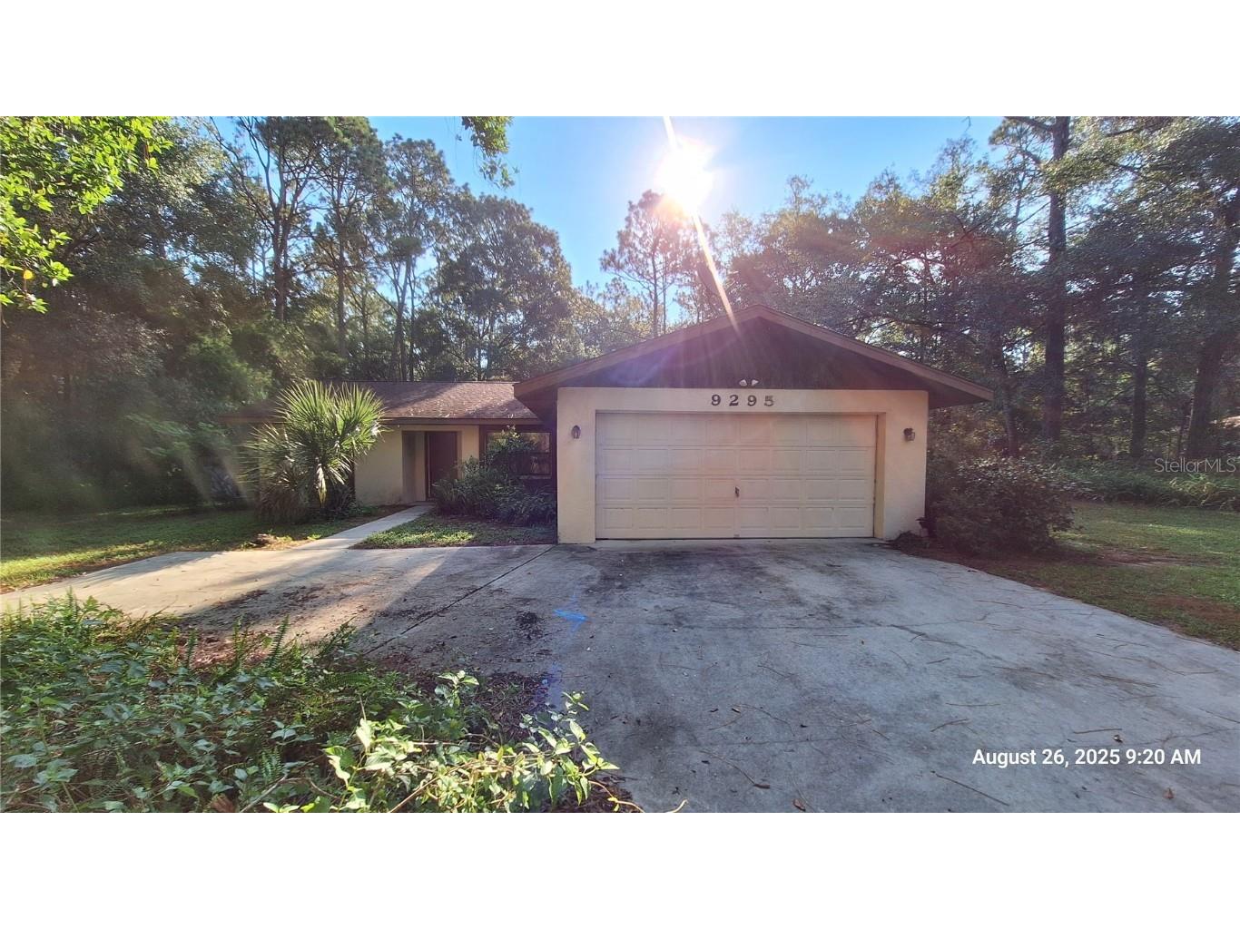 9295 SW 203rd Avenue Dunnellon FL 34431 OM709220 image31