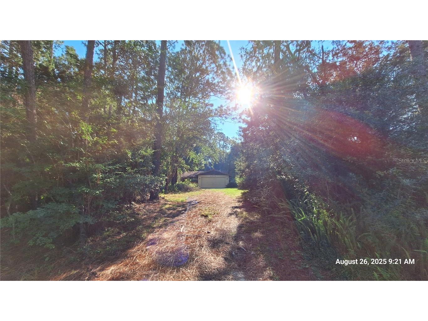 9295 SW 203rd Avenue Dunnellon FL 34431 OM709220 image34