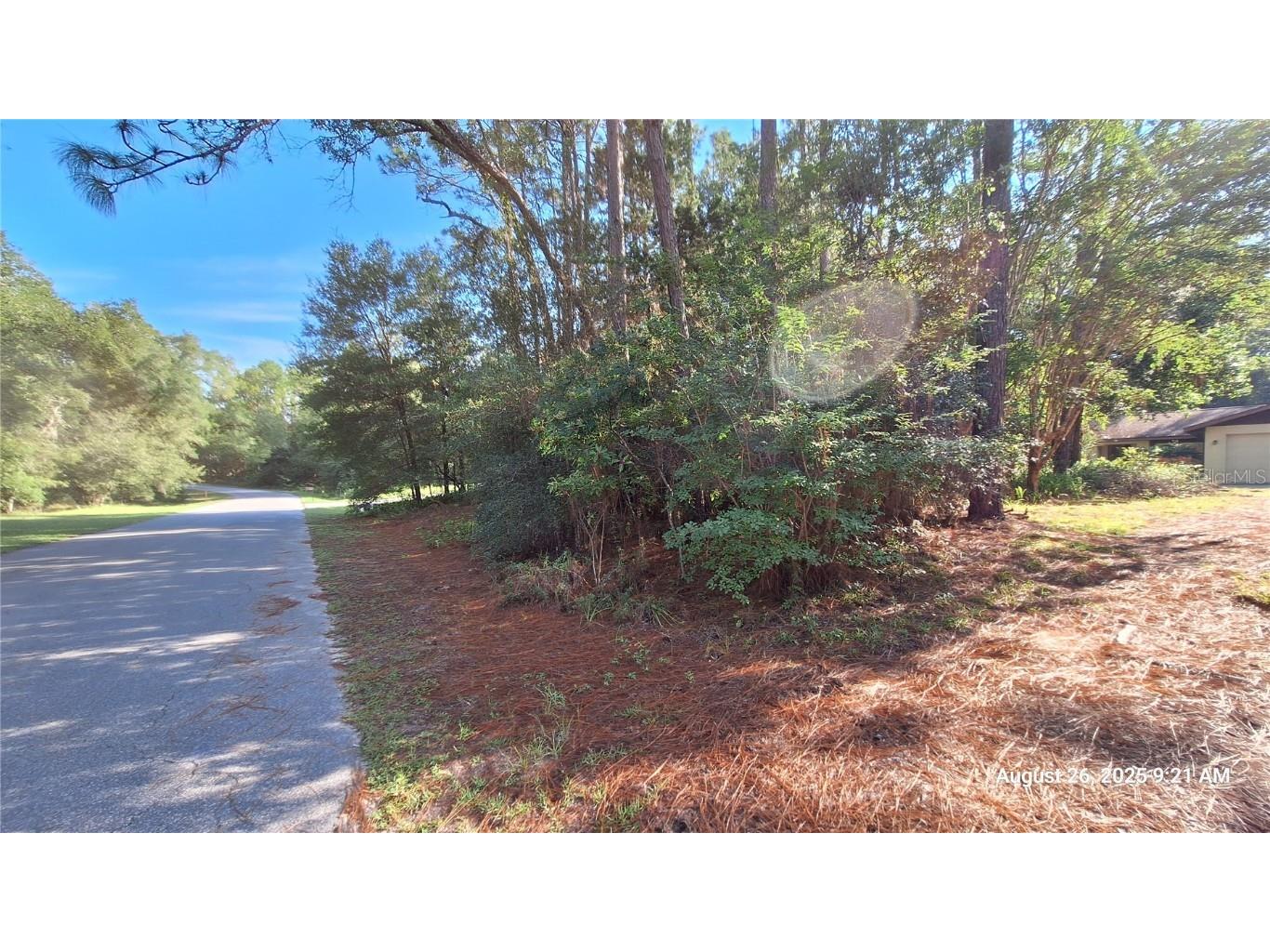 9295 SW 203rd Avenue Dunnellon FL 34431 OM709220 image35