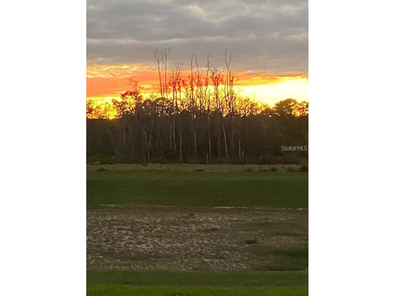 9296 Bolero Road Winter Garden FL 34787 O6422122 image38