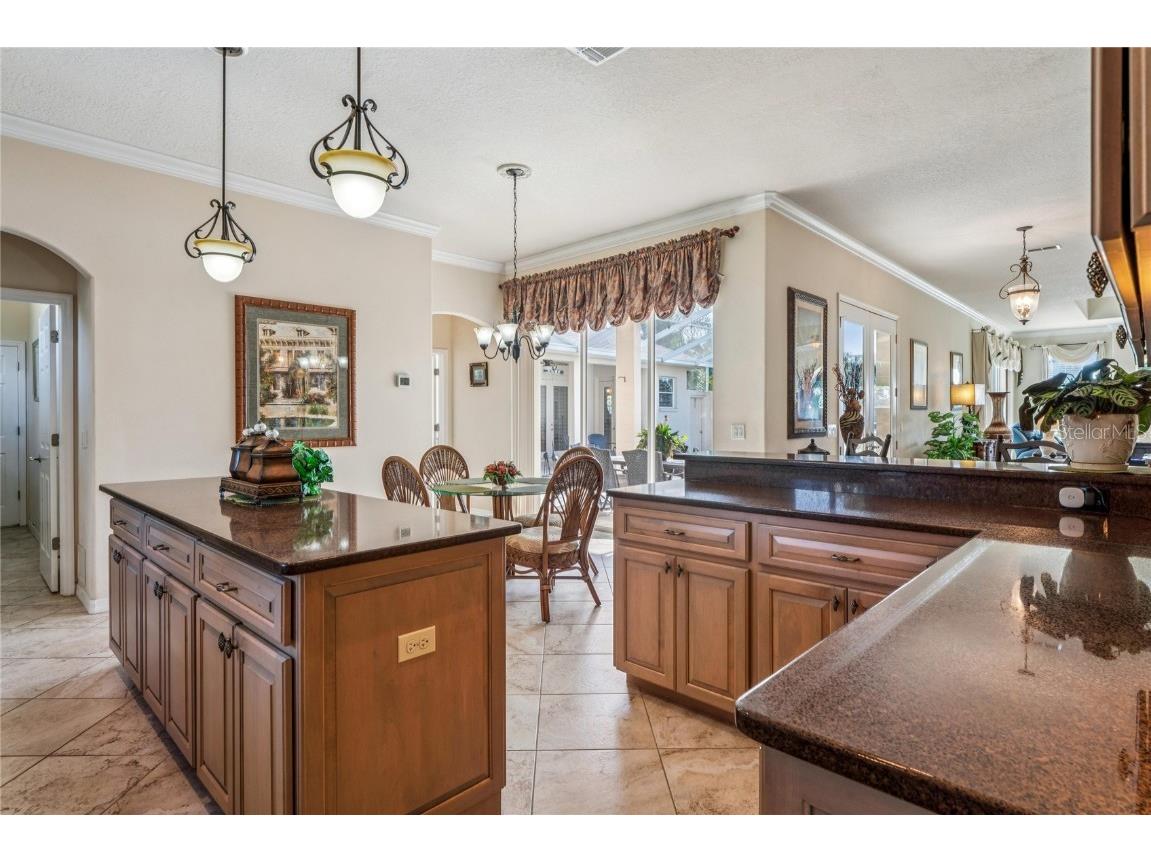 9298 Grand Cypress Drive Weeki Wachee FL 34613 W7880635 image21