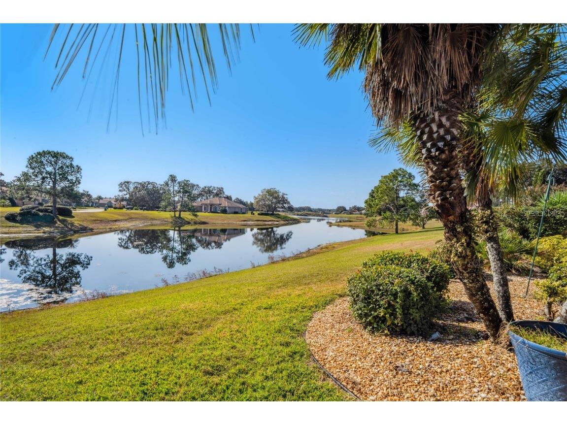 9298 Grand Cypress Drive Weeki Wachee FL 34613 W7880635 image73