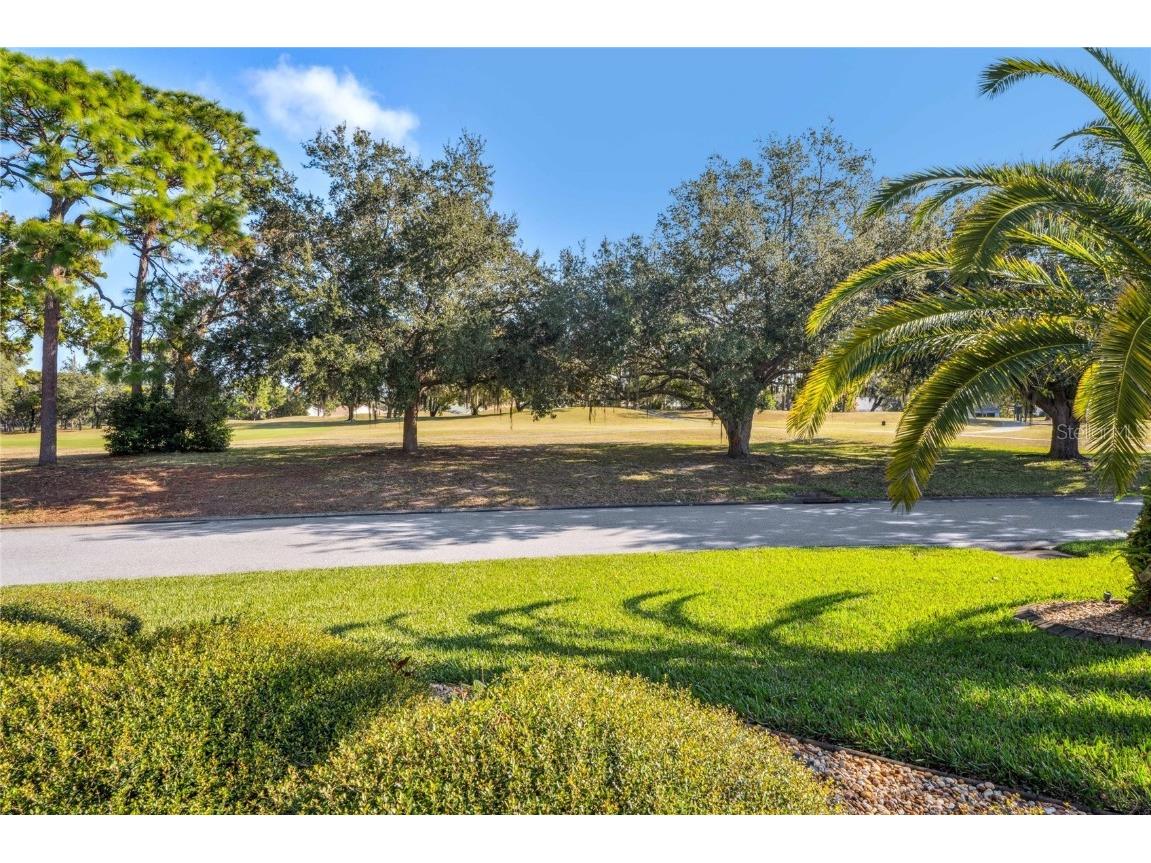 9298 Grand Cypress Drive Weeki Wachee FL 34613 W7880635 image79