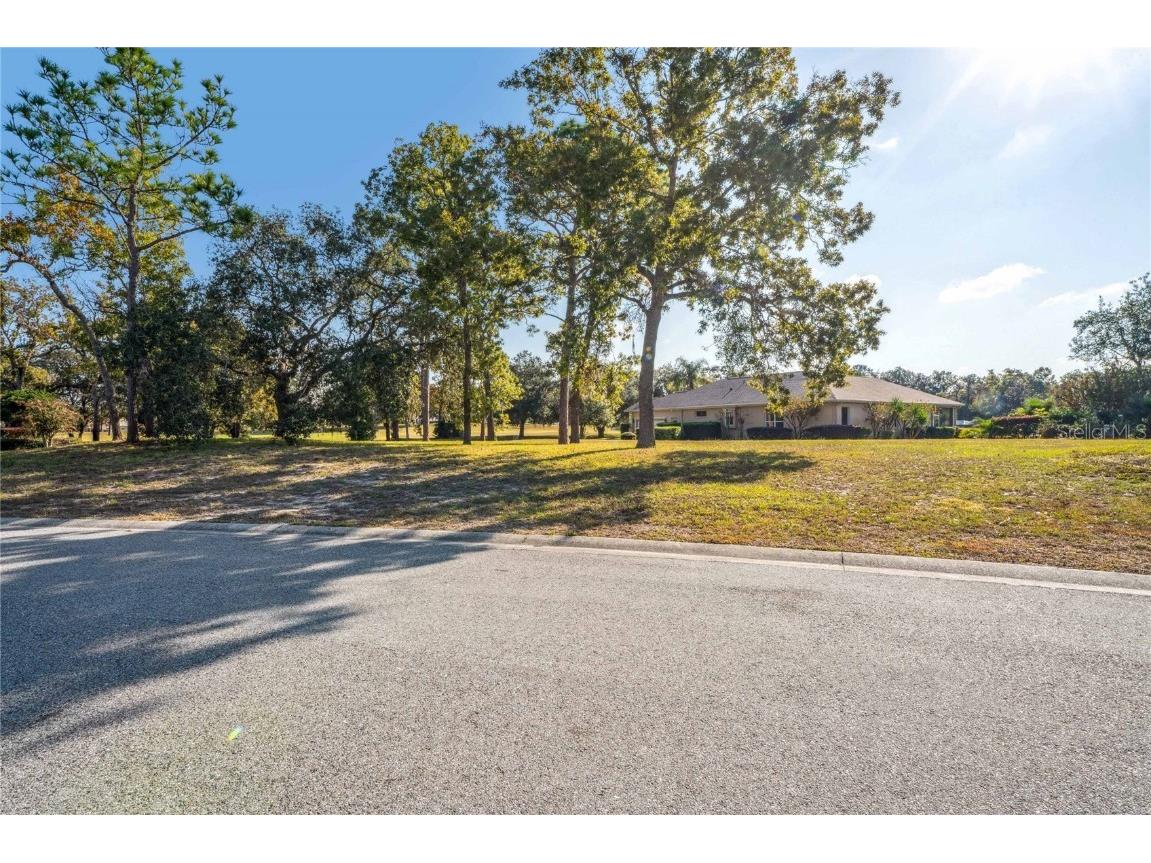 9298 Grand Cypress Drive Weeki Wachee FL 34613 W7880635 image88